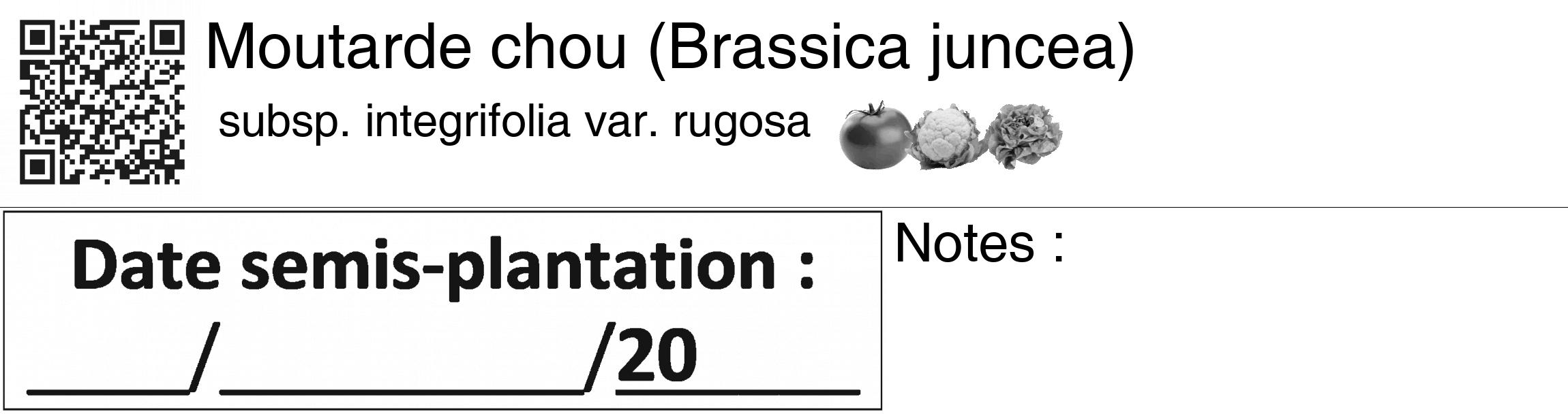 Étiquette de : Brassica juncea subsp. integrifolia var. rugosa - format c - style noire60_basiquegrrvhel avec qrcode et comestibilité simplifiée
