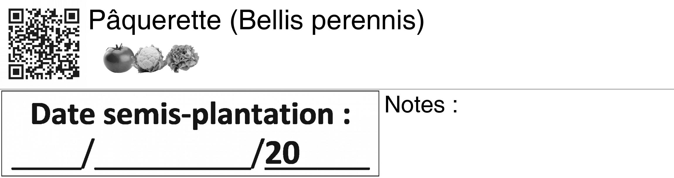 Étiquette de : Bellis perennis - format c - style noire60_basiquegrrvhel avec qrcode et comestibilité simplifiée