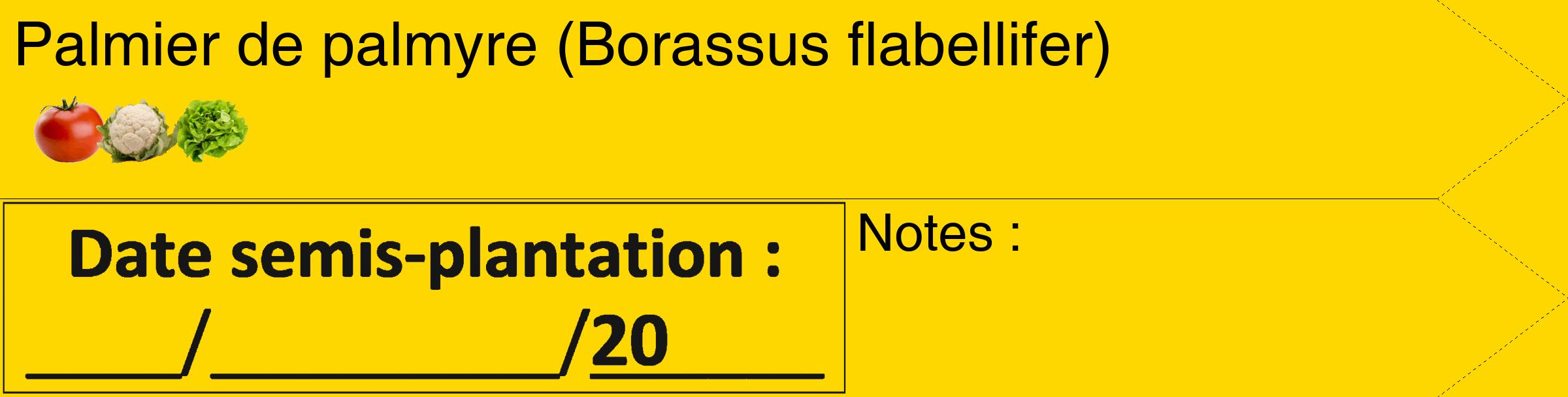 Étiquette de : Borassus flabellifer - format c - style noire21_simple_simplehel avec comestibilité simplifiée
