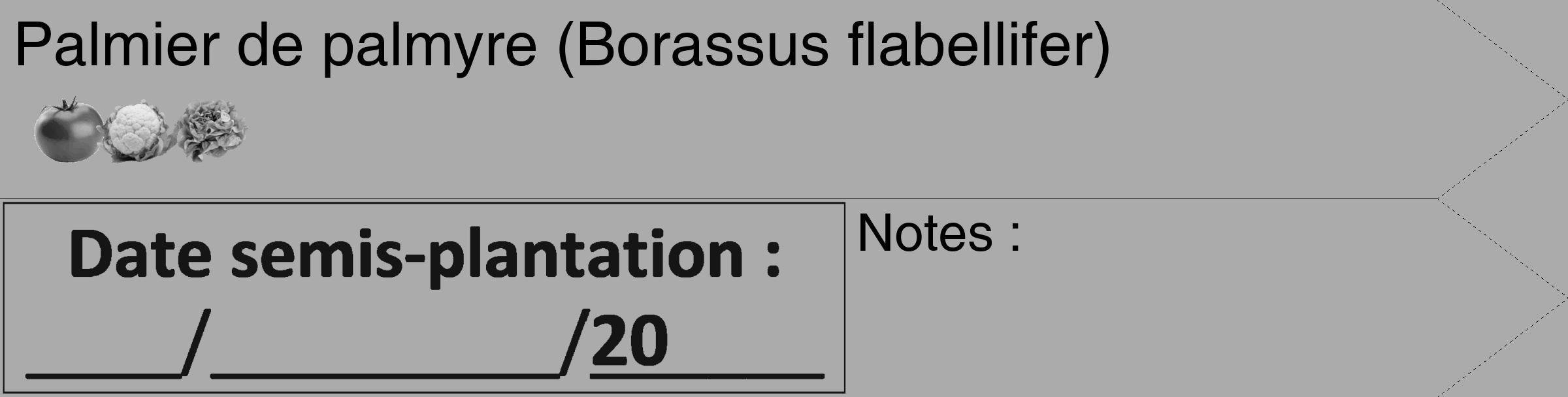 Étiquette de : Borassus flabellifer - format c - style noire37_simple_simplehel avec comestibilité simplifiée