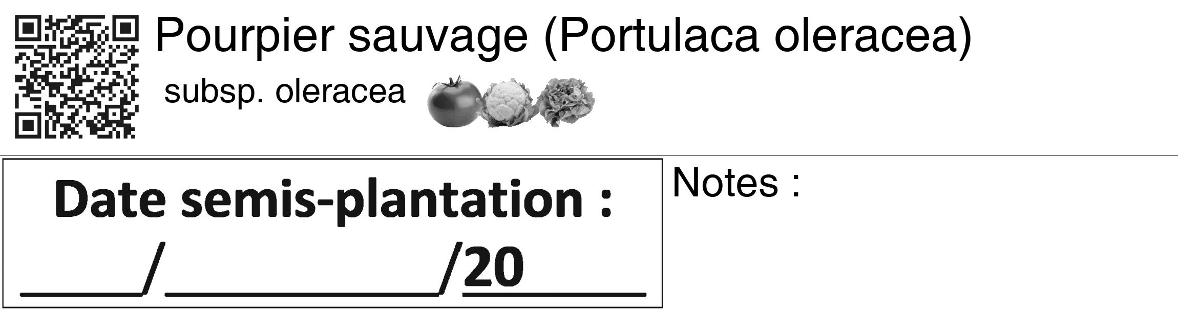 Étiquette de : Portulaca oleracea subsp. oleracea - format c - style noire60_basiquegrrvhel avec qrcode et comestibilité simplifiée