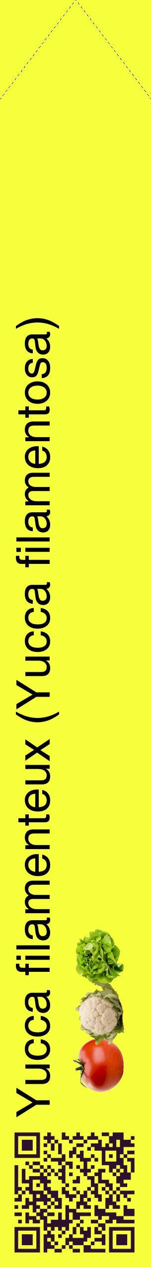 Étiquette de : Yucca filamentosa - format c - style noire18_simplehel avec qrcode et comestibilité simplifiée