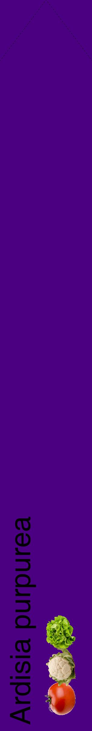 Étiquette de : Ardisia purpurea - format c - style noire47_simplehel avec comestibilité simplifiée