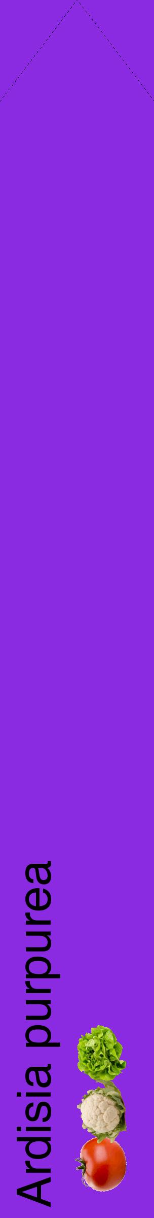 Étiquette de : Ardisia purpurea - format c - style noire49_simplehel avec comestibilité simplifiée