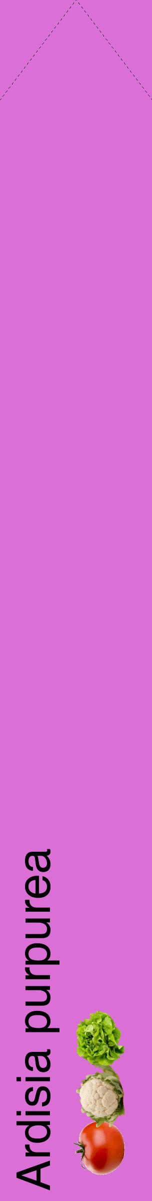 Étiquette de : Ardisia purpurea - format c - style noire52_simplehel avec comestibilité simplifiée