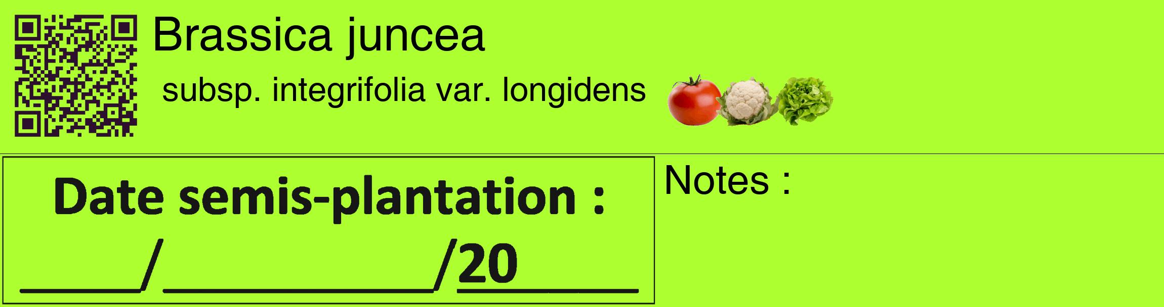 Étiquette de : Brassica juncea subsp. integrifolia var. longidens - format c - style noire17_basique_basiquehel avec qrcode et comestibilité simplifiée