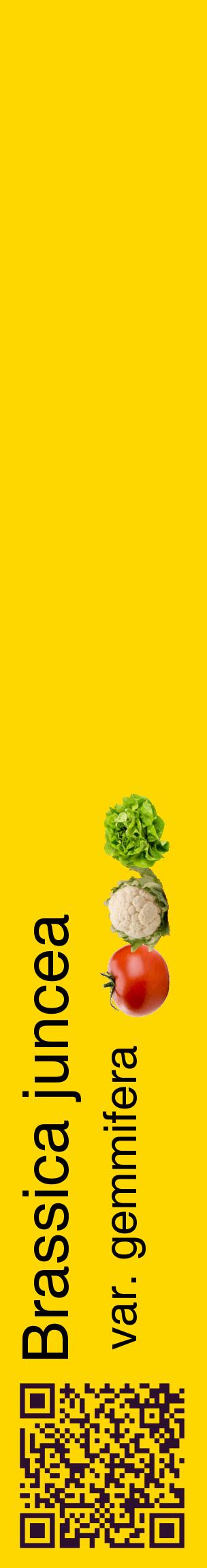 Étiquette de : Brassica juncea var. gemmifera - format c - style noire21_basiquehel avec qrcode et comestibilité simplifiée