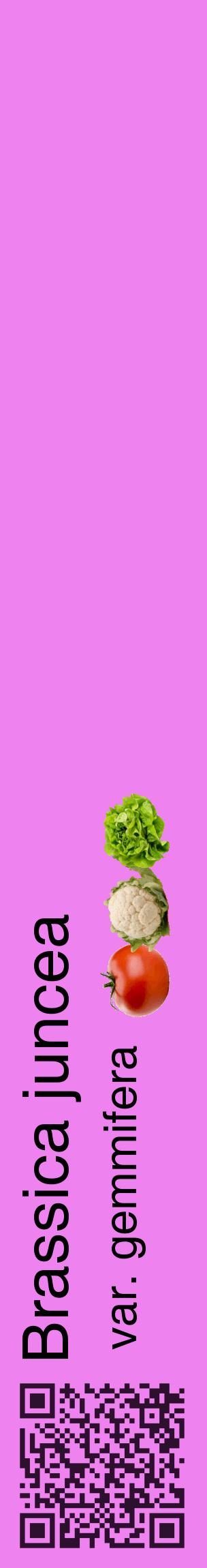 Étiquette de : Brassica juncea var. gemmifera - format c - style noire53_basiquehel avec qrcode et comestibilité simplifiée