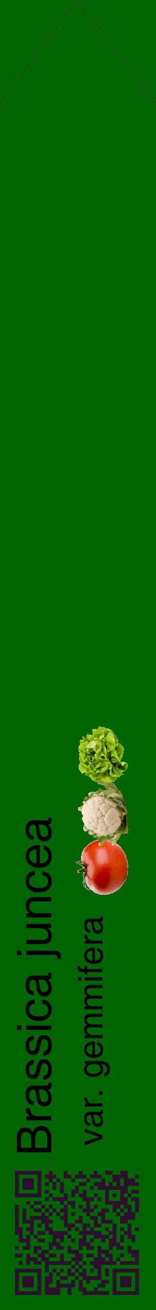 Étiquette de : Brassica juncea var. gemmifera - format c - style noire8_simplehel avec qrcode et comestibilité simplifiée
