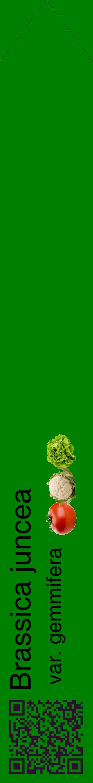 Étiquette de : Brassica juncea var. gemmifera - format c - style noire9_simplehel avec qrcode et comestibilité simplifiée