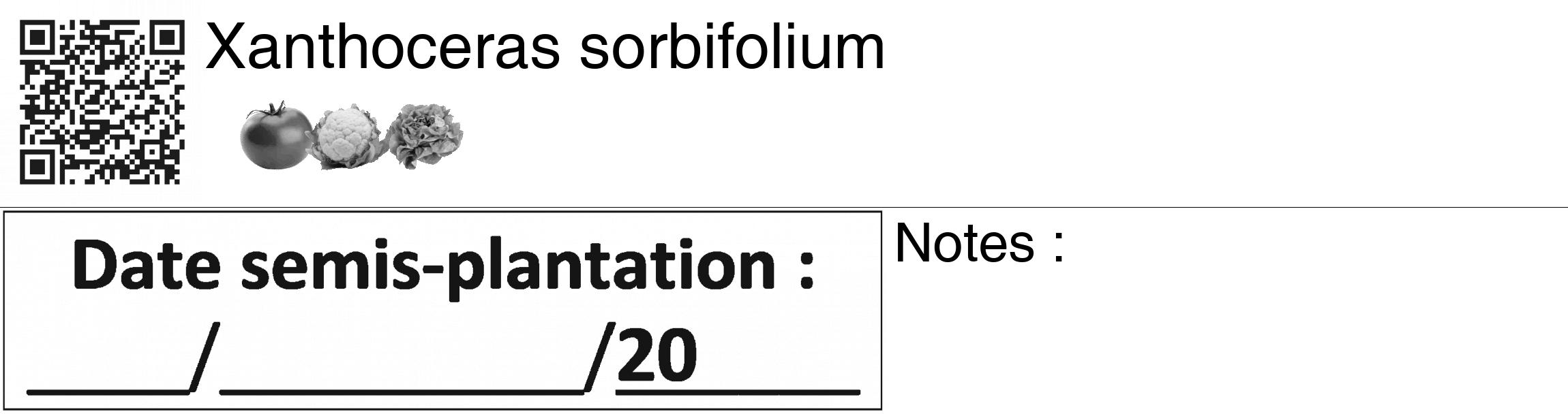 Étiquette de : Xanthoceras sorbifolium - format c - style noire60_basiquegrrvhel avec qrcode et comestibilité simplifiée