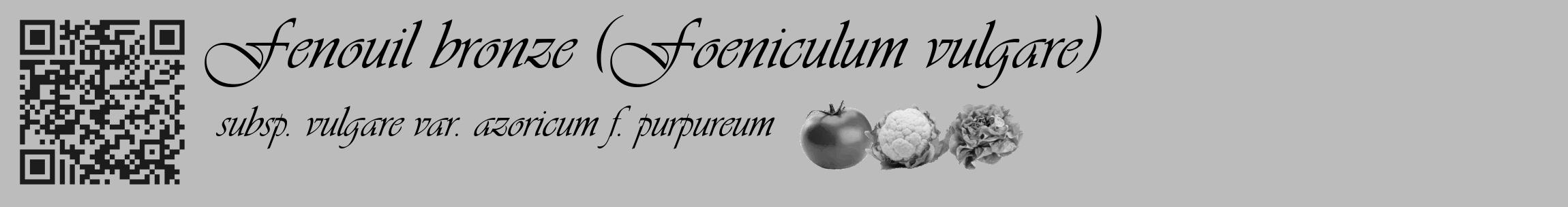 Étiquette de : Foeniculum vulgare subsp. vulgare var. azoricum f. purpureum - format c - style noire1_basique_basiqueviv avec qrcode et comestibilité simplifiée