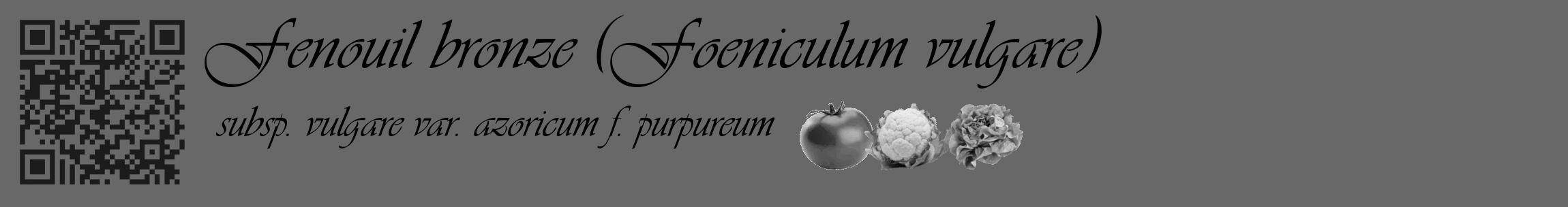Étiquette de : Foeniculum vulgare subsp. vulgare var. azoricum f. purpureum - format c - style noire6_basique_basiqueviv avec qrcode et comestibilité simplifiée