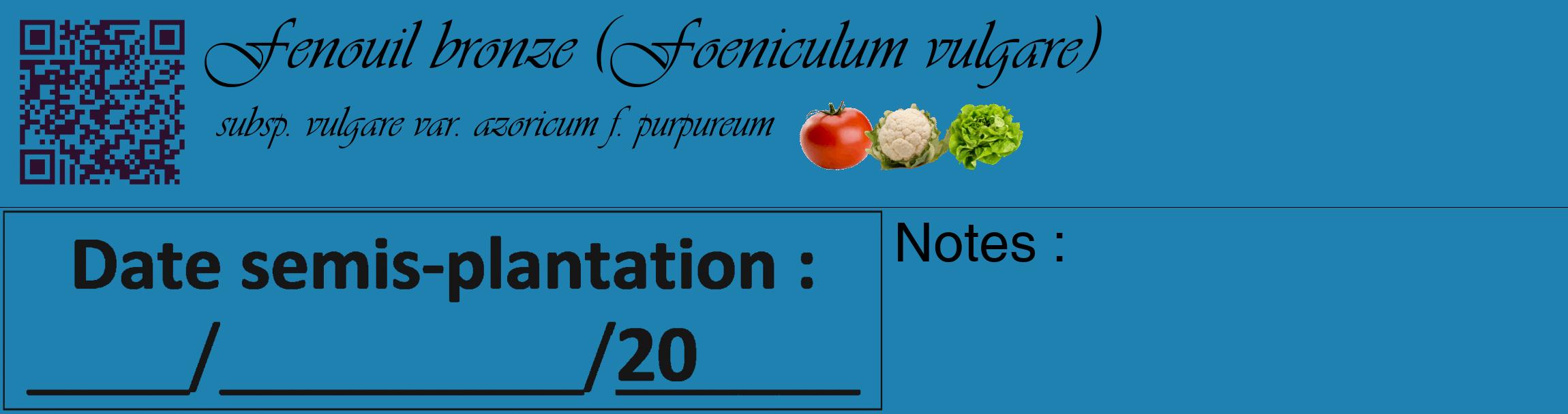 Étiquette de : Foeniculum vulgare subsp. vulgare var. azoricum f. purpureum - format c - style noire6_basique_basiqueviv avec qrcode et comestibilité simplifiée