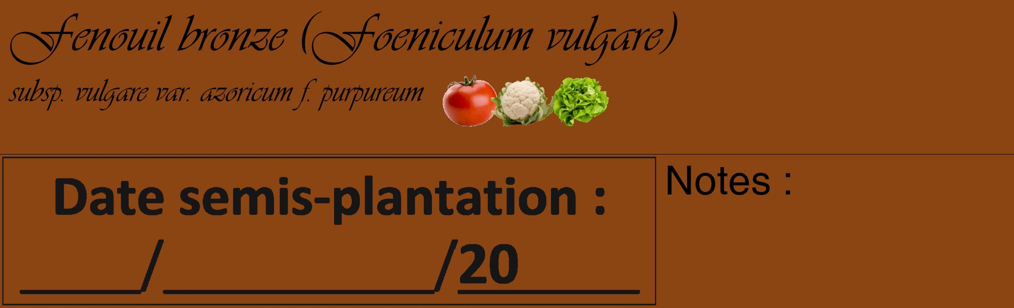 Étiquette de : Foeniculum vulgare subsp. vulgare var. azoricum f. purpureum - format c - style noire30_basique_basiqueviv avec comestibilité simplifiée