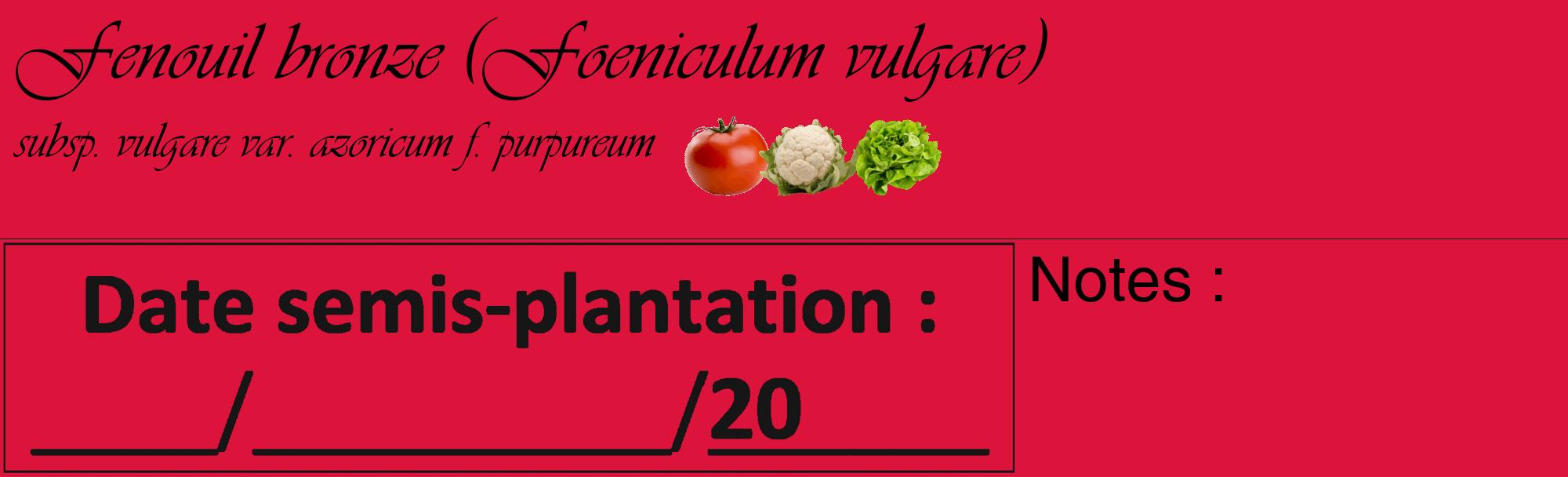 Étiquette de : Foeniculum vulgare subsp. vulgare var. azoricum f. purpureum - format c - style noire36_basique_basiqueviv avec comestibilité simplifiée