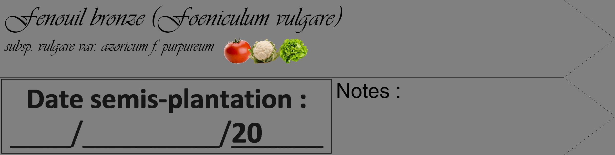 Étiquette de : Foeniculum vulgare subsp. vulgare var. azoricum f. purpureum - format c - style noire57_simple_simpleviv avec comestibilité simplifiée