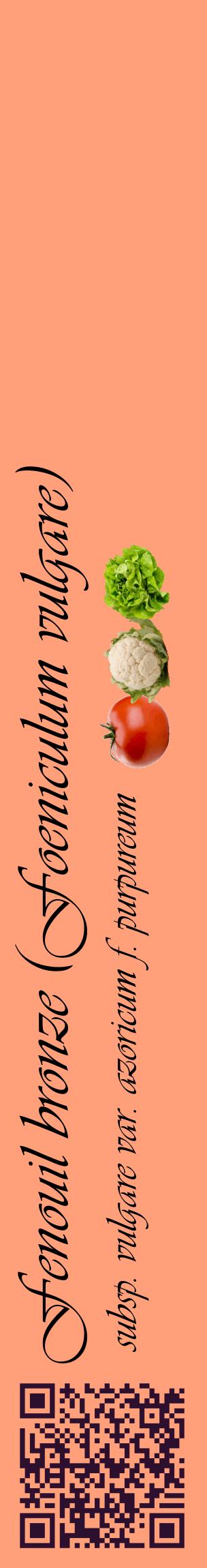 Étiquette de : Foeniculum vulgare subsp. vulgare var. azoricum f. purpureum - format c - style noire39_basiqueviv avec qrcode et comestibilité simplifiée