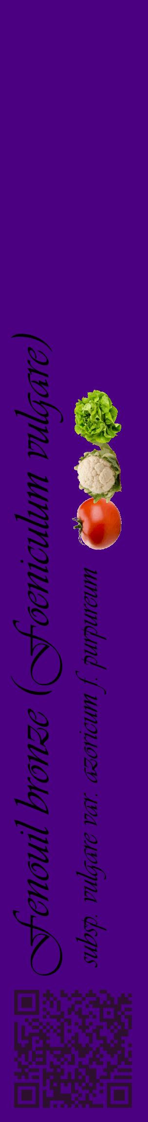 Étiquette de : Foeniculum vulgare subsp. vulgare var. azoricum f. purpureum - format c - style noire47_basiqueviv avec qrcode et comestibilité simplifiée