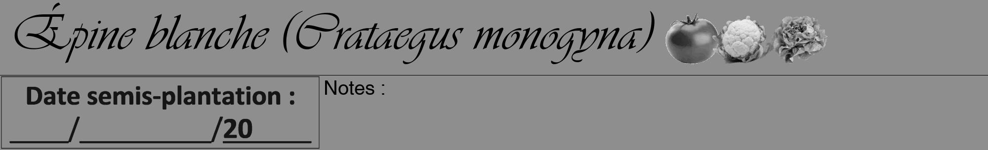 Étiquette de : Crataegus monogyna - format a - style noire25viv avec comestibilité simplifiée