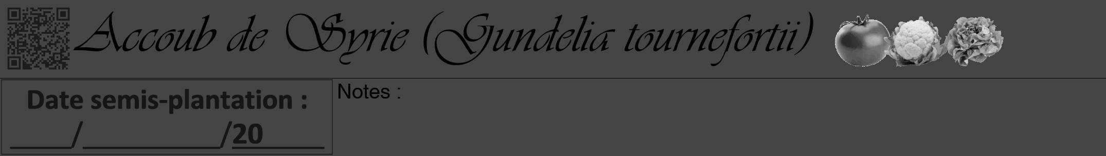 Étiquette de : Gundelia tournefortii - format a - style noire48viv avec qrcode et comestibilité simplifiée