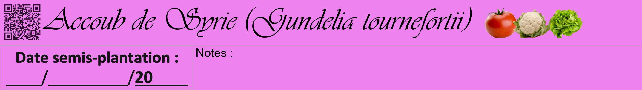 Étiquette de : Gundelia tournefortii - format a - style noire53viv avec qrcode et comestibilité simplifiée