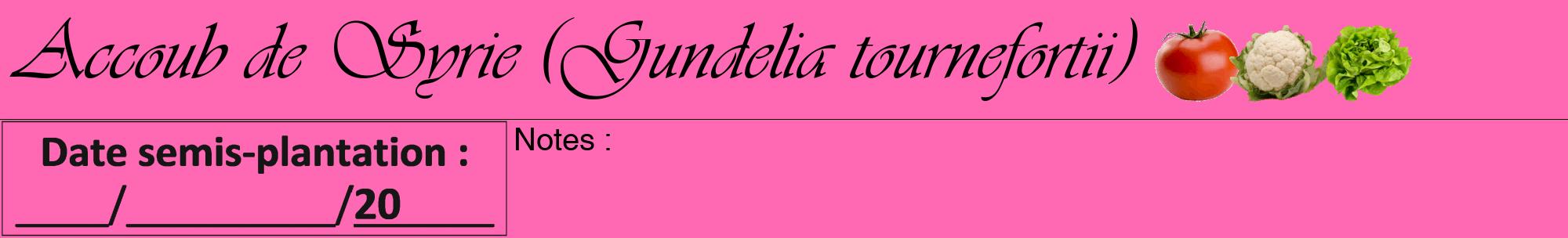 Étiquette de : Gundelia tournefortii - format a - style noire42viv avec comestibilité simplifiée