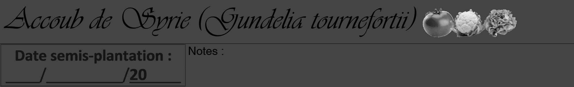 Étiquette de : Gundelia tournefortii - format a - style noire48viv avec comestibilité simplifiée