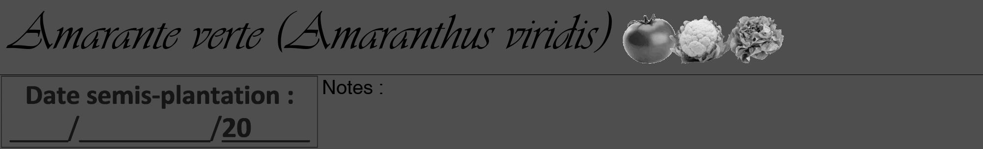 Étiquette de : Amaranthus viridis - format a - style noire33viv avec comestibilité simplifiée
