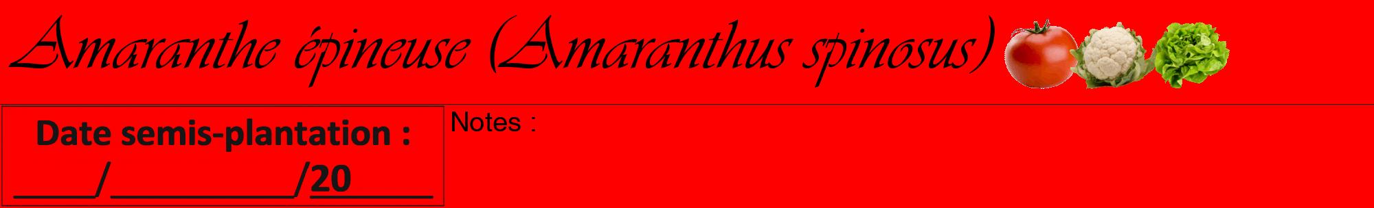 Étiquette de : Amaranthus spinosus - format a - style noire27viv avec comestibilité simplifiée