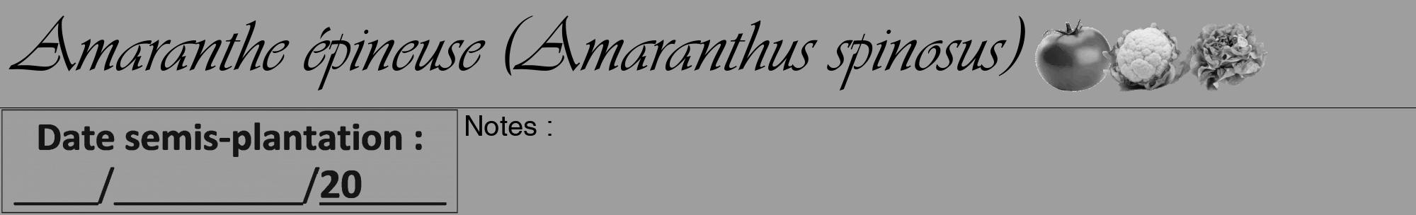Étiquette de : Amaranthus spinosus - format a - style noire42viv avec comestibilité simplifiée