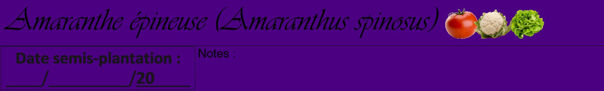 Étiquette de : Amaranthus spinosus - format a - style noire47viv avec comestibilité simplifiée
