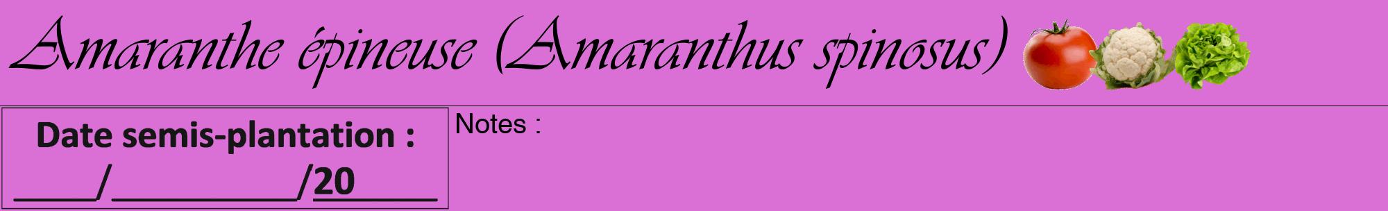 Étiquette de : Amaranthus spinosus - format a - style noire52viv avec comestibilité simplifiée