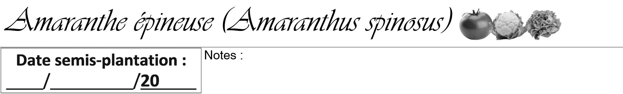 Étiquette de : Amaranthus spinosus - format a - style noire60viv avec comestibilité simplifiée