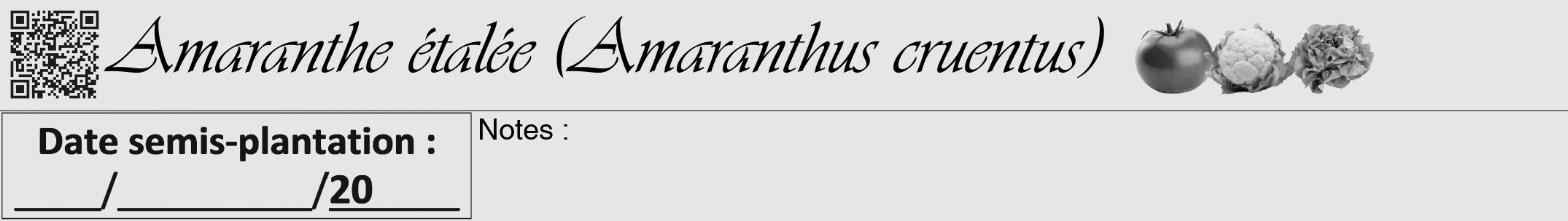 Étiquette de : Amaranthus cruentus - format a - style noire18simpleviv avec qrcode et comestibilité simplifiée