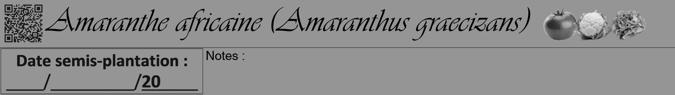 Étiquette de : Amaranthus graecizans - format a - style noire16viv avec qrcode et comestibilité simplifiée