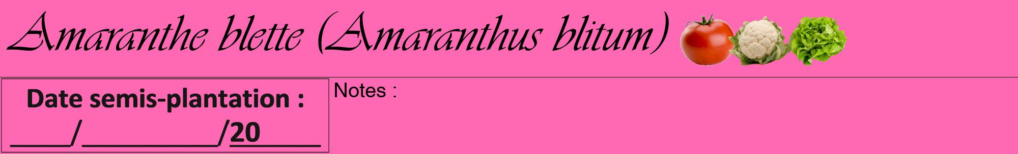 Étiquette de : Amaranthus blitum - format a - style noire42viv avec comestibilité simplifiée