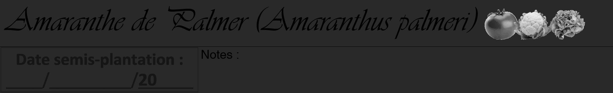 Étiquette de : Amaranthus palmeri - format a - style noire34viv avec comestibilité simplifiée