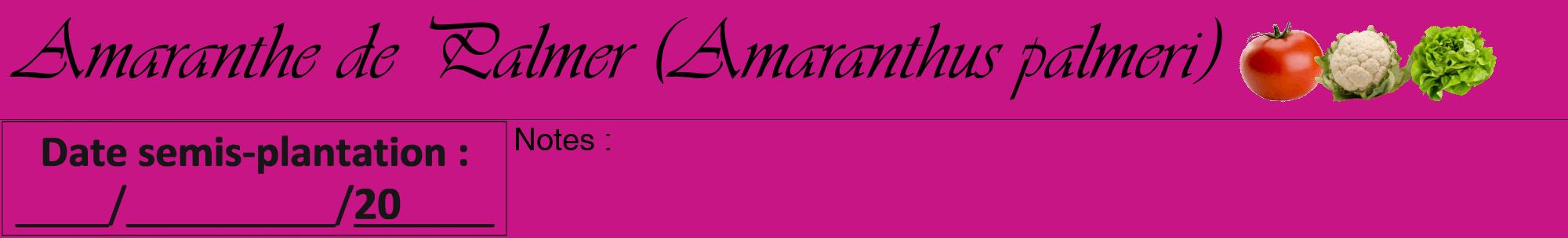 Étiquette de : Amaranthus palmeri - format a - style noire45viv avec comestibilité simplifiée