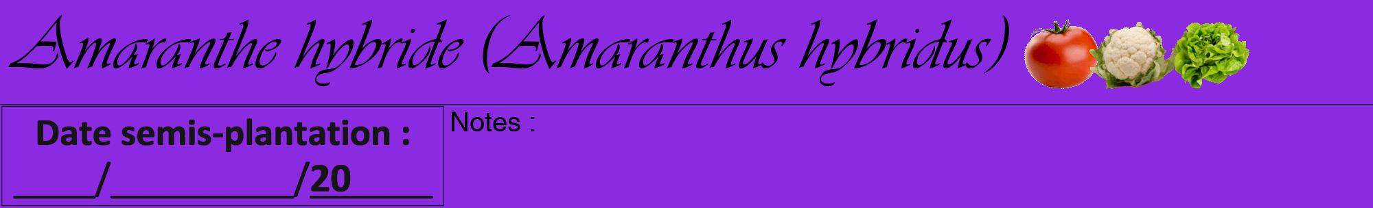 Étiquette de : Amaranthus hybridus - format a - style noire49viv avec comestibilité simplifiée