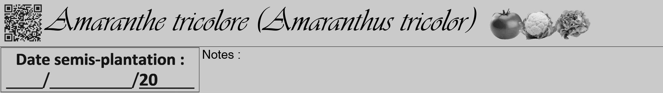 Étiquette de : Amaranthus tricolor - format a - style noire21viv avec qrcode et comestibilité simplifiée