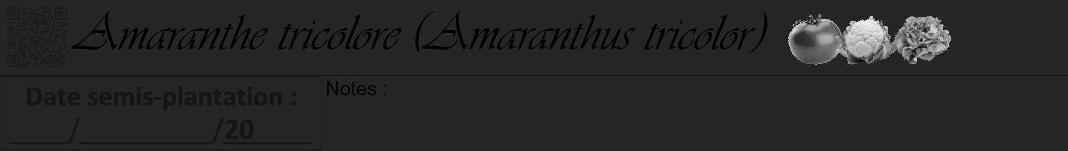 Étiquette de : Amaranthus tricolor - format a - style noire29viv avec qrcode et comestibilité simplifiée