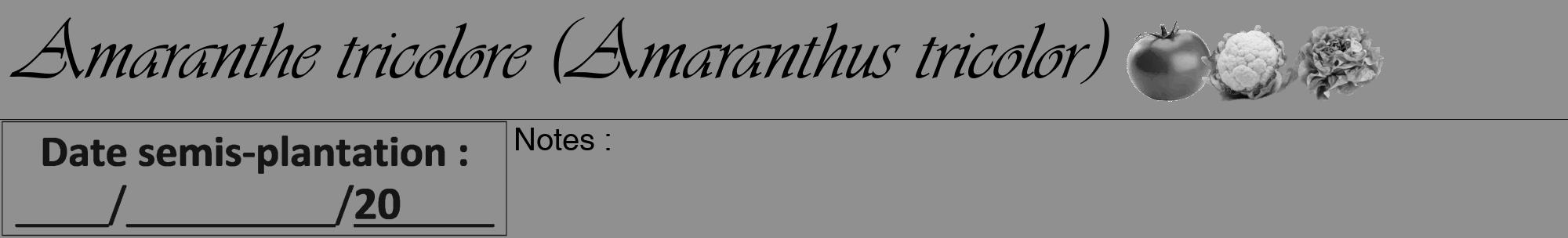 Étiquette de : Amaranthus tricolor - format a - style noire4viv avec comestibilité simplifiée