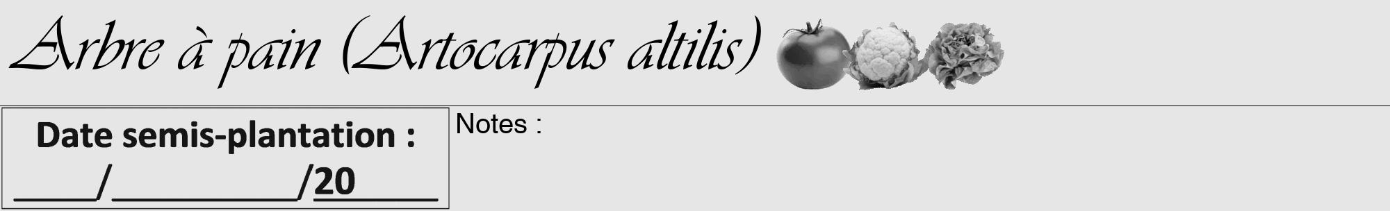 Étiquette de : Artocarpus altilis - format a - style noire18viv avec comestibilité simplifiée