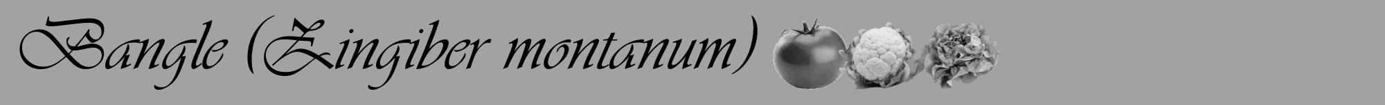 Étiquette de : Zingiber montanum - format a - style noire38viv avec comestibilité simplifiée