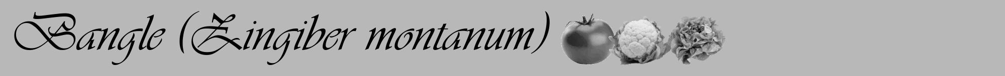 Étiquette de : Zingiber montanum - format a - style noire39viv avec comestibilité simplifiée