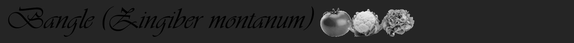 Étiquette de : Zingiber montanum - format a - style noire47viv avec comestibilité simplifiée