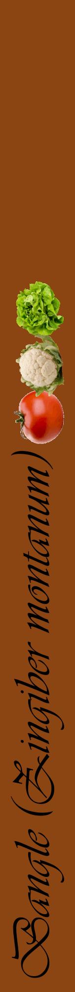 Étiquette de : Zingiber montanum - format a - style noire30viv avec comestibilité simplifiée
