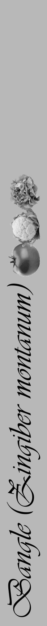 Étiquette de : Zingiber montanum - format a - style noire39viv avec comestibilité simplifiée - position verticale