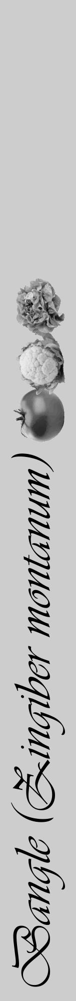 Étiquette de : Zingiber montanum - format a - style noire41viv avec comestibilité simplifiée - position verticale